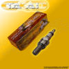 Spark Plug Iridium RTYPE Series II EIX-CRF1#